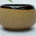 Paththaya classic W21